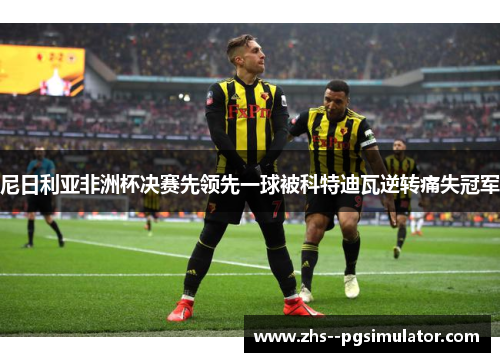 尼日利亚非洲杯决赛先领先一球被科特迪瓦逆转痛失冠军